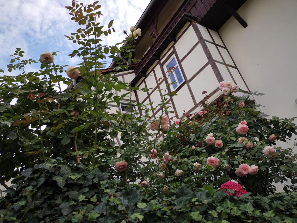 Apartment Altes Standesamt Weißensee